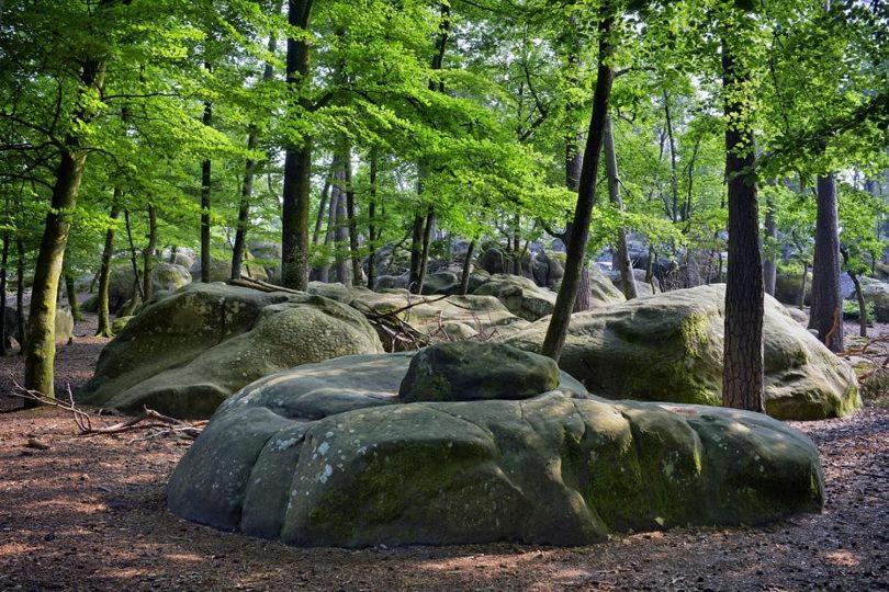 Maison De Charme En Foret De Fontainebleau Recloses Eksteriør bilde